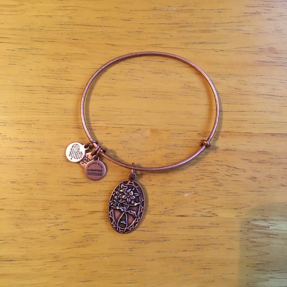 Alex and Ani bracelet - Picture 1 of 3